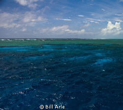 Osprey Reef, Coral Sea. by Bill Arle 